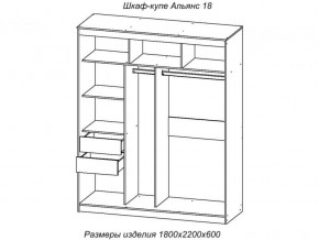 Шкаф-купе Альянс 18 комплект зеркал №4 в Кусе - kusa.magazinmebel.ru | фото - изображение 2